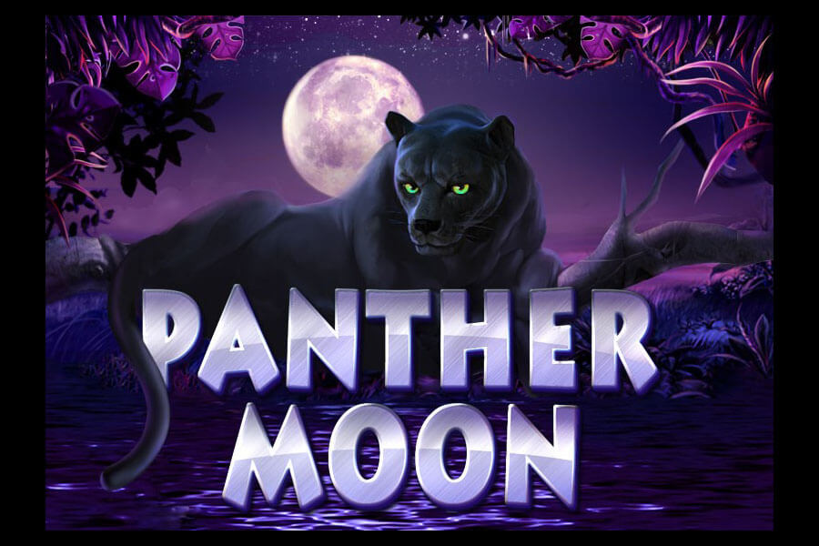 Panther Moon:image1