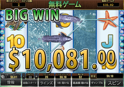 Dolphin Reef で大勝利　賞金10,081.00ドル 獲得！
