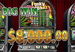 Funky Monkey で大勝利　賞金8,000.00 ドル 獲得！