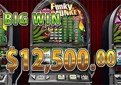 Funky Monkeyで大勝利　賞金12,500.00ドル 獲得！