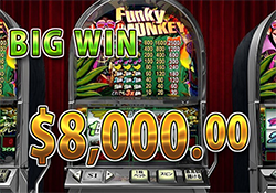 Funky Monkeyで大勝利　賞金8,000.00ドル 獲得！