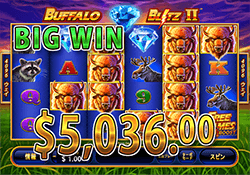 Buffalo Blitz II で 大勝利　賞金5,036.00ドル 獲得！