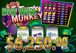 Funky Monkey で大勝利　賞金 6,250.00ドル 獲得！ 