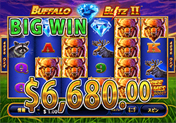 Buffalo Blitz II で大勝利　賞金 6,680.00ドル 獲得！  