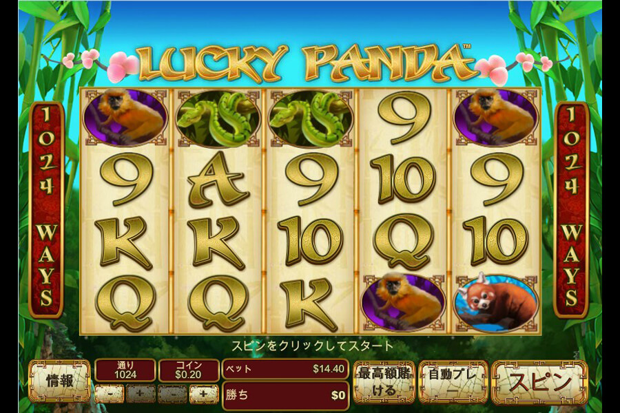 Lucky Panda:image02