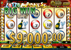 Lotto Madnessで大勝利 賞金9,000.00ドル獲得！ 