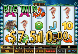 Dolphin Reefで大勝利 賞金5,012.50ドル獲得！