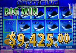 Great Blueで大勝利 合計賞金9,425.00ドル獲得！
