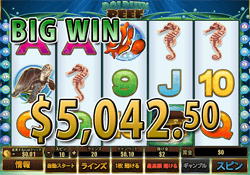 Dolphin Reefで大勝利 賞金5,042.50ドル獲得！ 