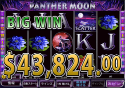PANTHER MOON で大勝利　賞金 43,824.00ドル 獲得！