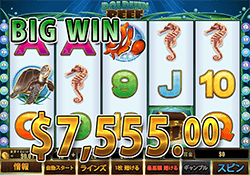 Joker Poker で ナチュナルロイヤルフラッシュ　賞金25,000.00ドル 獲得！