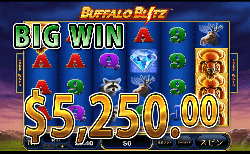 Buffalo Blitz 大勝利　賞金5,250.00ドル 獲得！