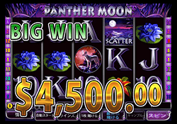 Panther Moon で 大勝利　賞金4,500.00ドル 獲得！