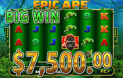 Epic Ape で 大勝利　賞金 7,500.00ドル 獲得！