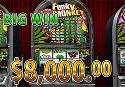Funky Monkeyで 大勝利　賞金8,000.00ドル 獲得！