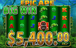 Epic Ape で 大勝利　賞金5,400.00ドル 獲得！