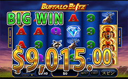 Buffalo Blitz で 大勝利　賞金9,015.00ドル 獲得！