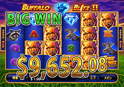 Buffalo Blitz II で 大勝利　賞金9,652.08ドル 獲得！