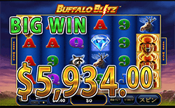Buffalo Blitz で 大勝利　賞金5,934.00ドル 獲得！