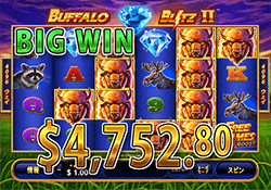 Buffalo Blitz II で大勝利　賞金 4,752.80ドル 獲得！ 