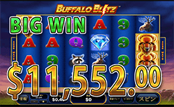 Buffalo Blitz で大勝利　賞金 11,552.00ドル 獲得！ 