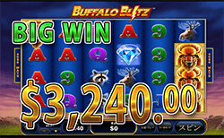 Buffalo Blitz で大勝利　賞金 3,240.00ドル 獲得！ ！ 