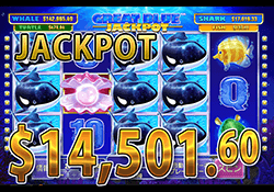 Great Blue Jackpot でシャークジャックポット　賞金 14,501.60ドル 獲得！   
