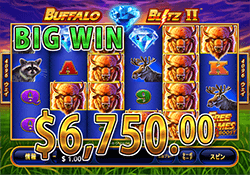 Buffalo Blitz II で大勝利　賞金 6,750.00ドル 獲得！ 