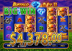 Buffalo Blitz II で大勝利　賞金 4,378.00ドル 獲得！ 