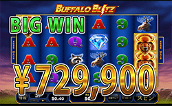Buffalo Blitz で大勝利　賞金 729,900円 獲得！ 